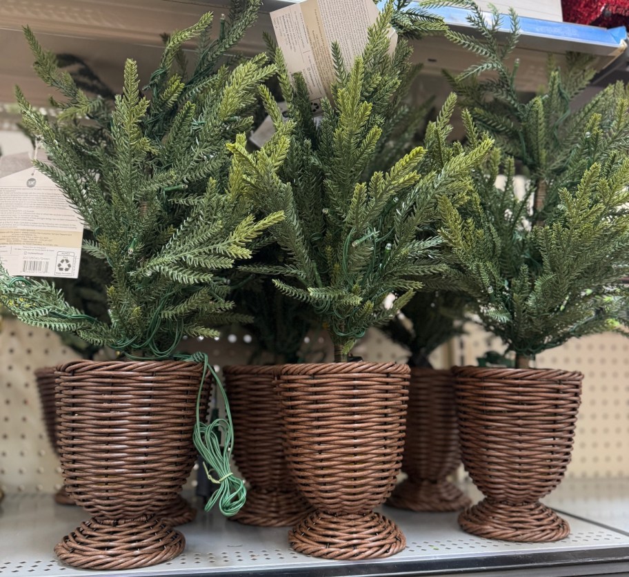 3 faux evergreen trees in wicker baskets