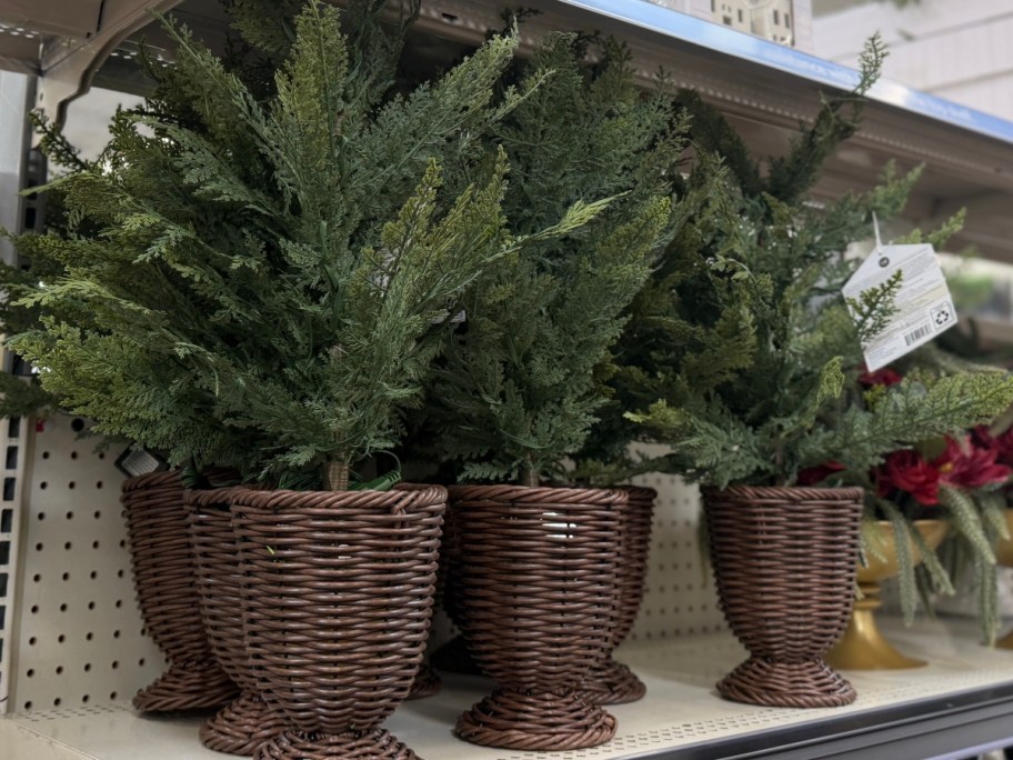3 faux evergreen trees in wicker baskets