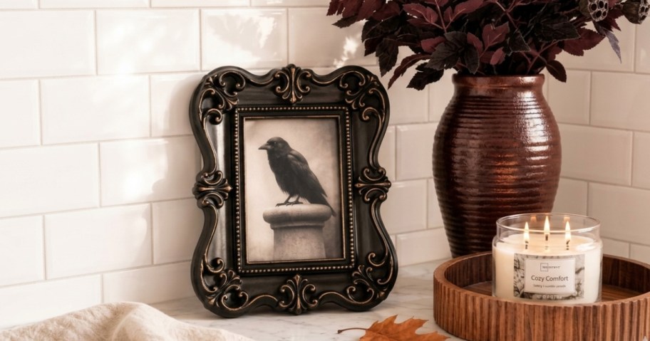 framed picture or bird on table