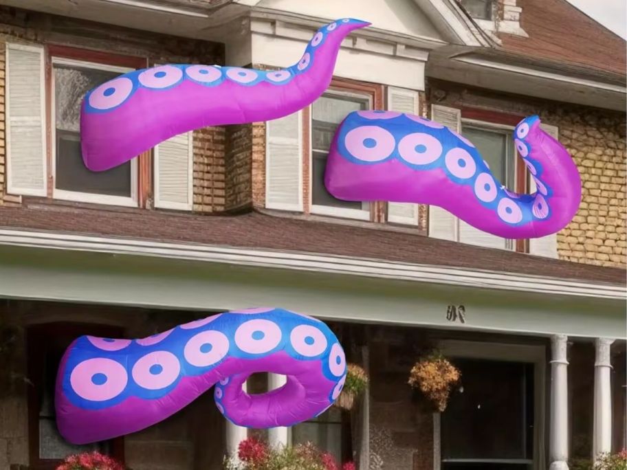 octopus tentacles sticking out the window