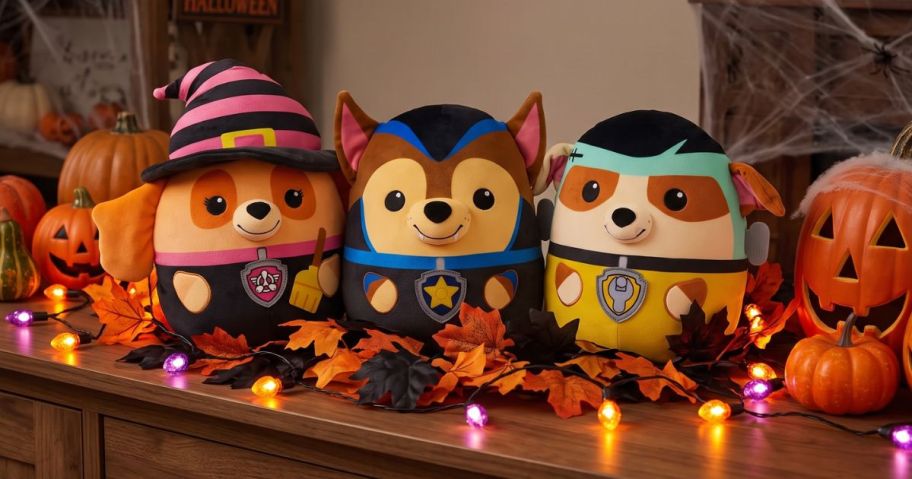 paw patrol halloween plush on display