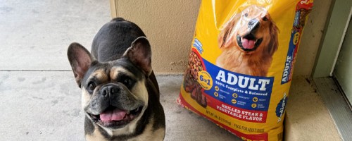 smiling dog standing next to a big bag of dog food