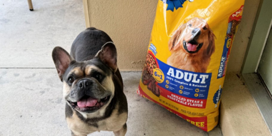 NEW Pedigree Adult Dog Food Bonus 44lb Bags Now at Walmart (Like Getting 4 Pounds FREE!)