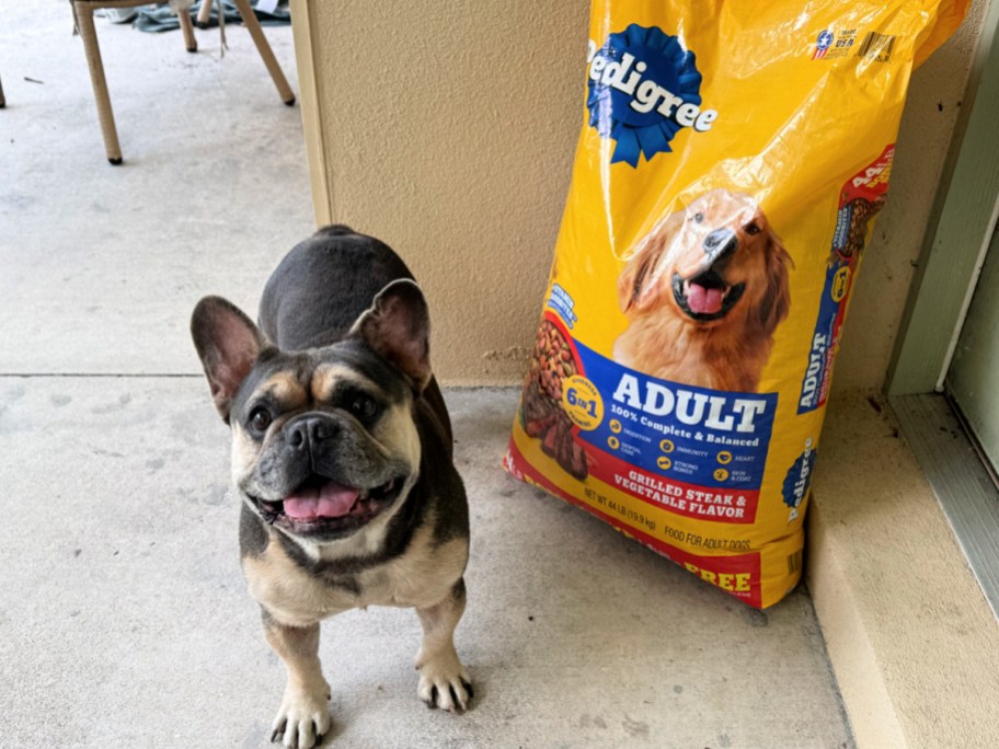 smiling dog standing next to a big bag of dog food