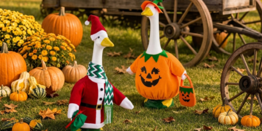 Porch Goose Outfit 2-Pack Only $8.49 Shipped for Amazon Prime Members