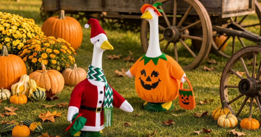 2 porch geese with christmas and halloween outfits