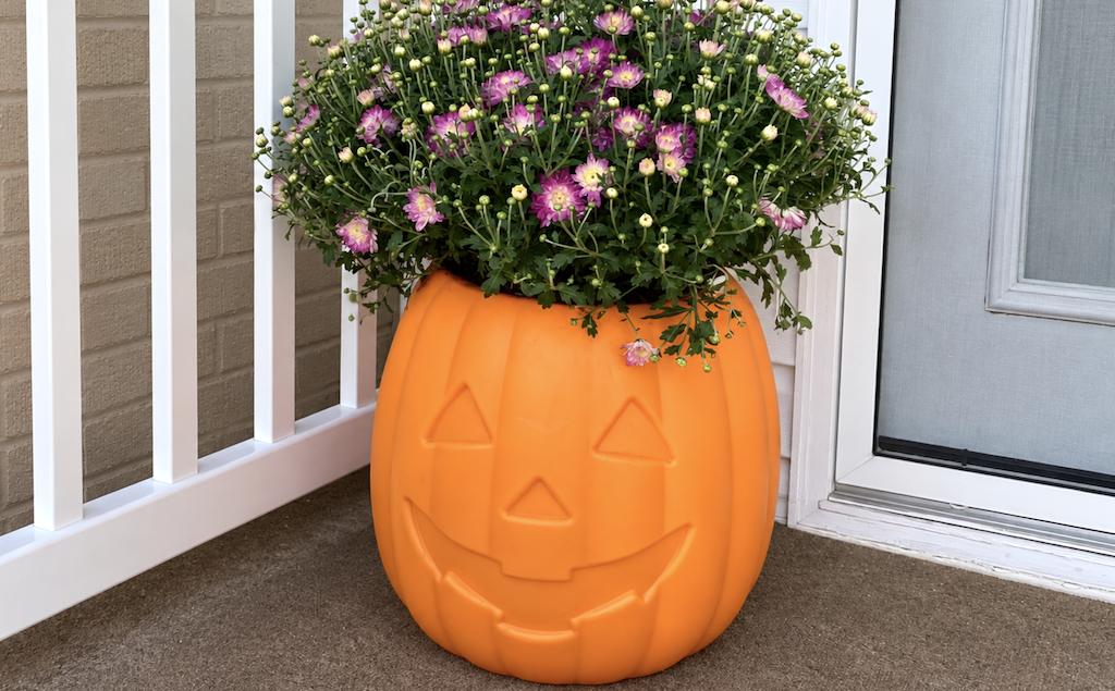 Reversible Pumpkin & Spooky Spider Planters Are Made for Halloween Porches!