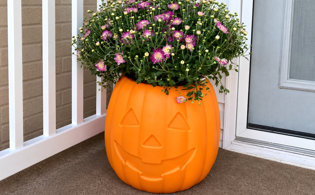 Pumpkin planter 