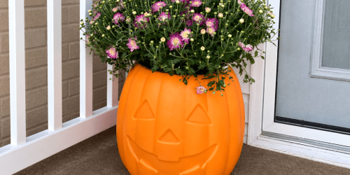 Reversible Pumpkin & Spooky Spider Planters Are Made for Halloween Porches!
