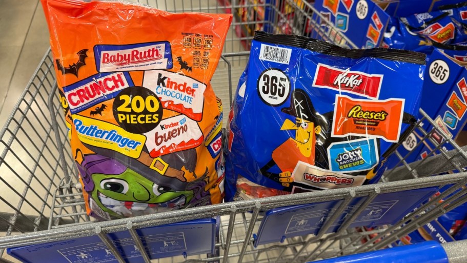 Sam’s Club Instant Savings = HOT Buys on Seasonal Favorites, Household Items, & More
