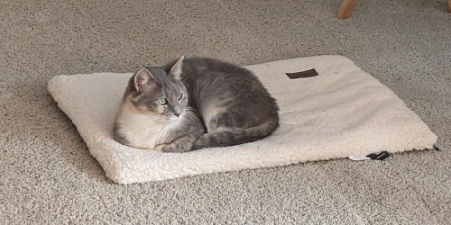 Self-Warming Pet Bed Only $13.79 on Amazon (Regularly $23)
