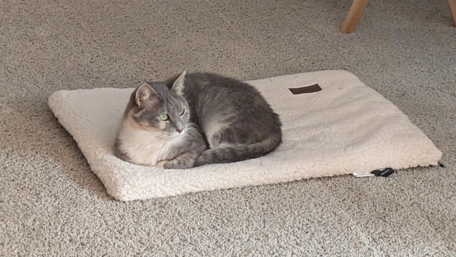 Self-Warming Pet Bed Only $13.79 on Amazon (Regularly $23)