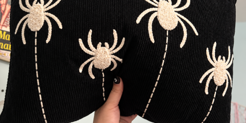 NEW Halloween & Fall Throw Pillows on Walmart.com – All Under $13!