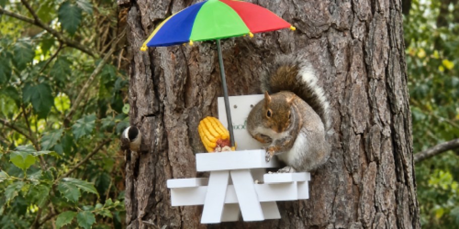 Squirrel Feeder Table Just $9 on Amazon