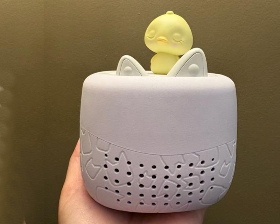 sound box in hand with yellow duck figure on top