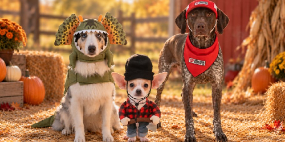 FREE Halloween Pet Photos + Bandanas at Tractor Supply on October 10th