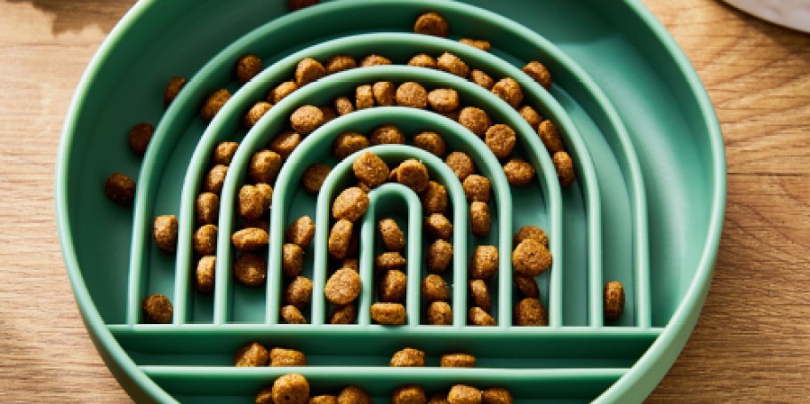 Slow Feeder Pet Bowls Only $2.44 on Walmart.com (Reg. $7)
