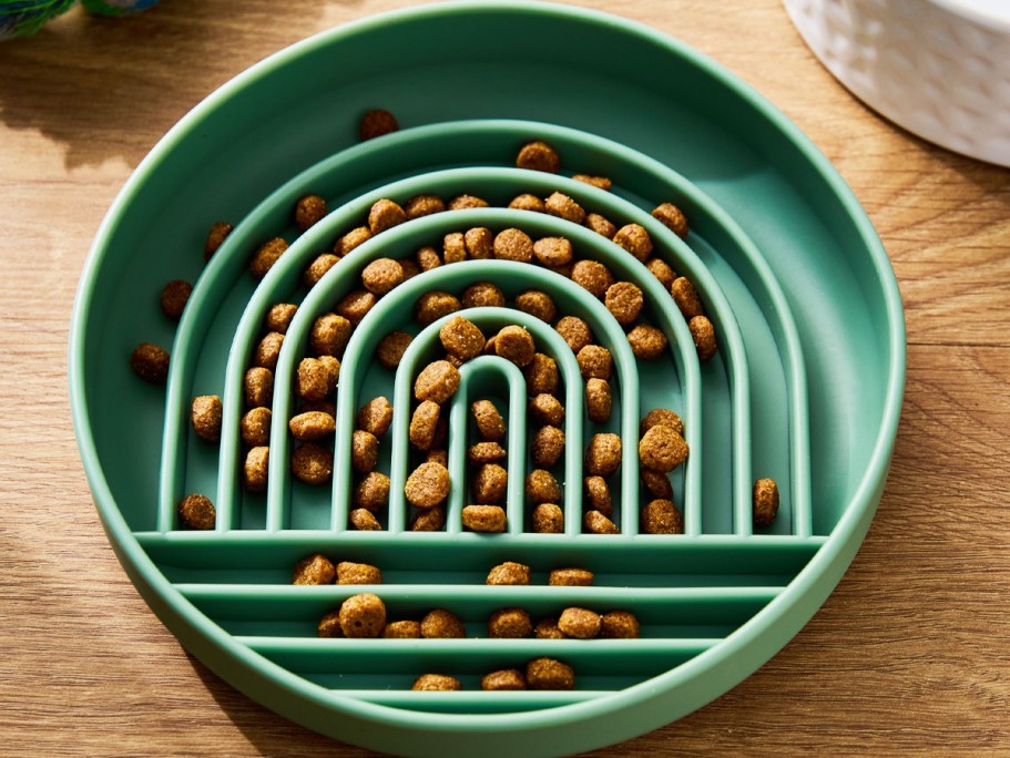 Slow Feeder Pet Bowls Only $2.44 on Walmart.com (Reg. $7)