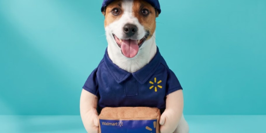Dress Your Dog Like a Walmart Delivery Driver for Halloween + More Fun Pet Costumes