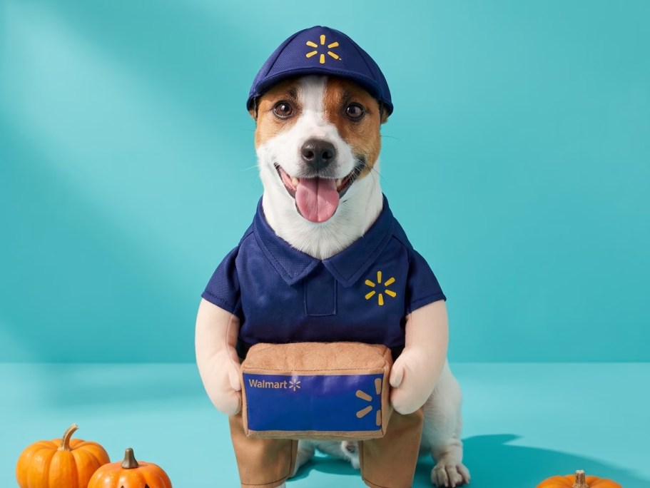 Dress Your Dog Like a Walmart Delivery Driver for Halloween + More Fun Pet Costumes