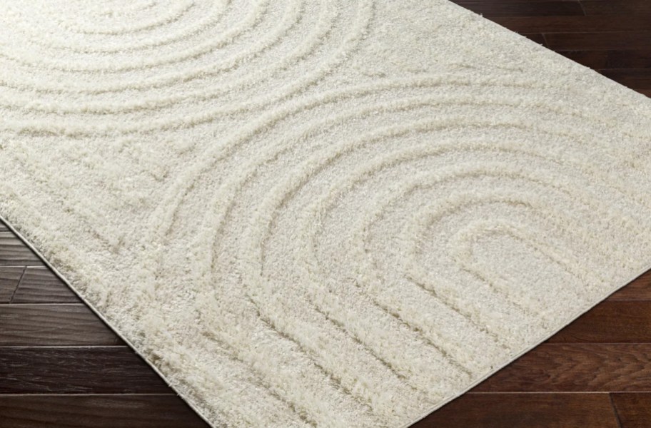 white shag rug on hardwood floor