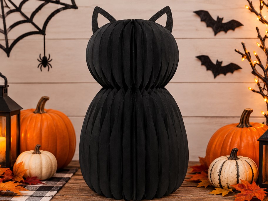 black cat honeycomb paper on patio 