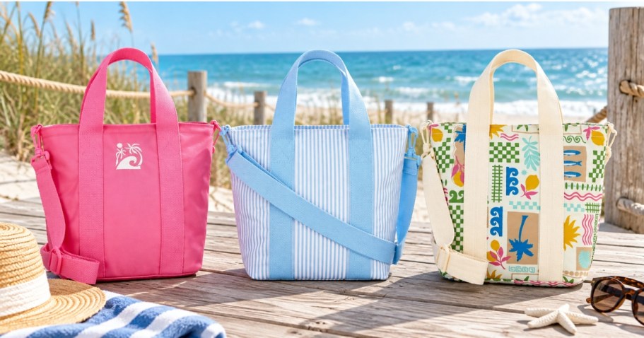 Insulated Beach Tote Bags Just $7.99 on Walmart.com (Reg. $20)!