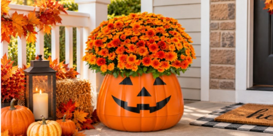 These Pumpkin Planters From Walmart Come Filled With Live Mums