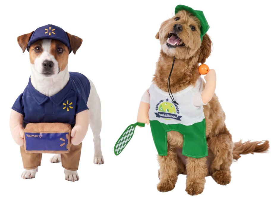 two dogs wearing costumes on a white background