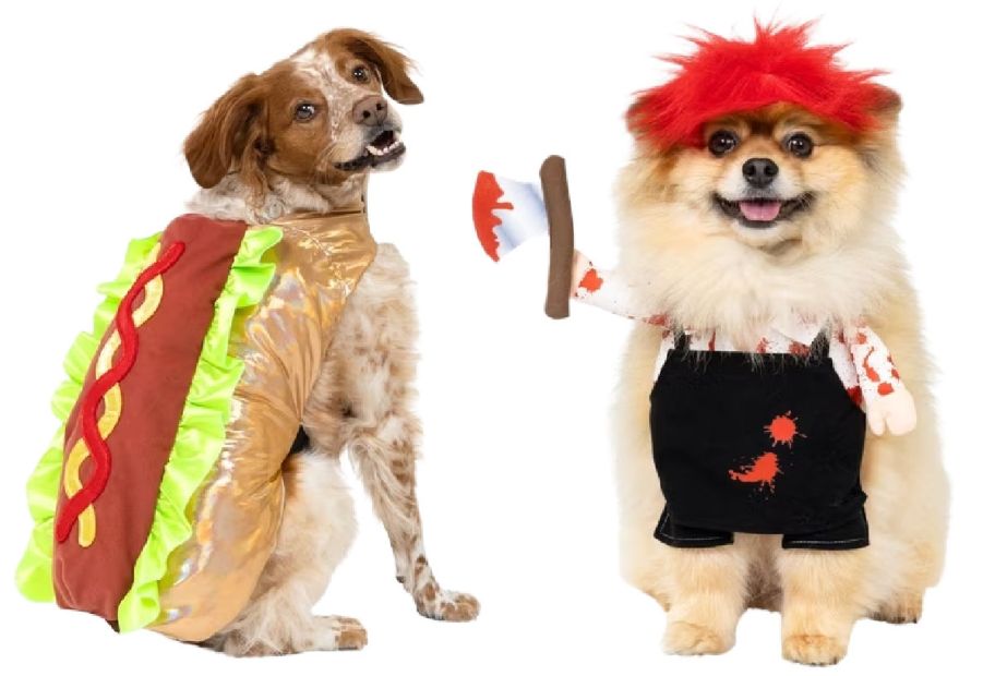 2 dogs wearing costumes on a white background
