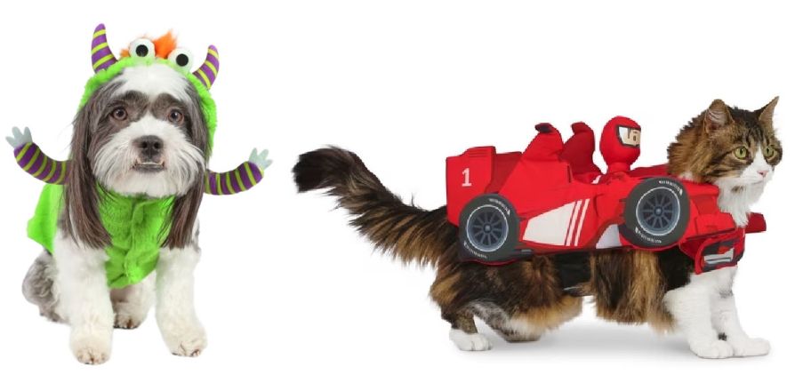 dog and cat wearing Halloween costumes