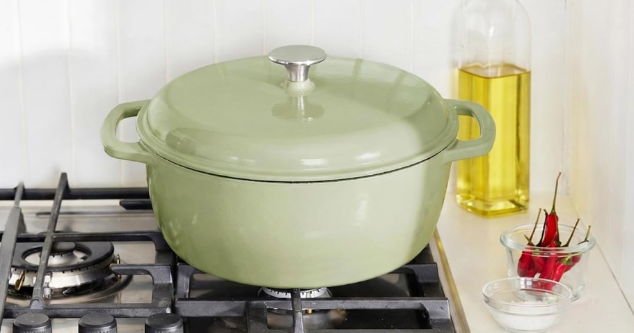 Amazon Basics Dutch Oven Only $19 (Reg. $32)