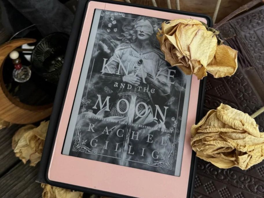 The Knave and the Moon Audiobook surroundedby dried flowers