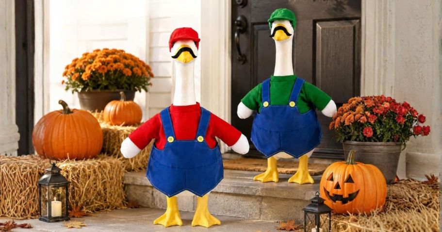 TWO Porch Goose Outfits Just $7.99 Shipped for Amazon Prime Members