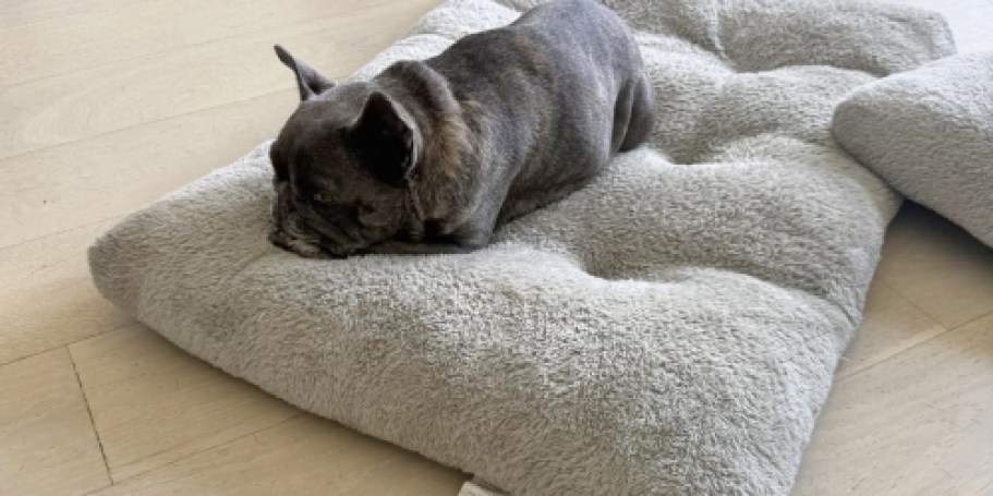 Washable Dog Crate Bed Just $12.99 on Amazon (Reg. $30)