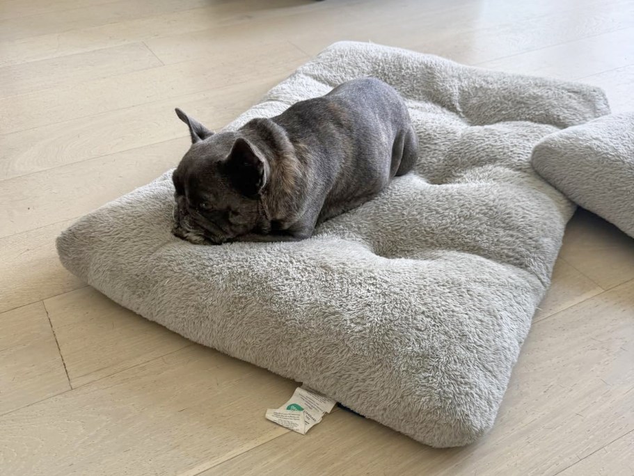 Washable Dog Crate Bed Just $12.99 on Amazon (Reg. $30)
