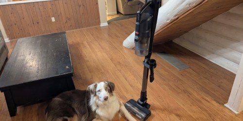 Bissell Cordless Vacuum Just $179.99 Shipped for Prime Members (Reg. $300)