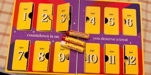 Burt’s Bees Lip Balm Advent Calendar Just $20.99 Shipped w/ Amazon Prime