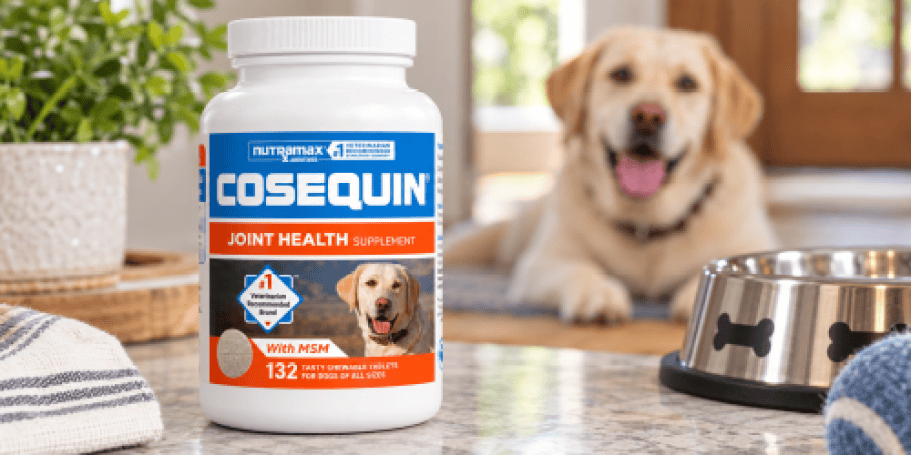 OVER 50% Off Highly Rated Nutramax Cosequin Supplements on Amazon