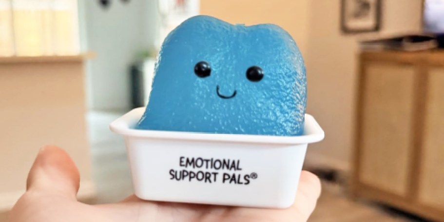 Price Drop: Emotional Support Nuggets Only $4.99 on Amazon (Reg. $9)