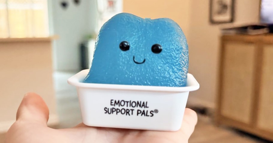 Price Drop: Emotional Support Nuggets Only $4.99 on Amazon (Reg. $9)
