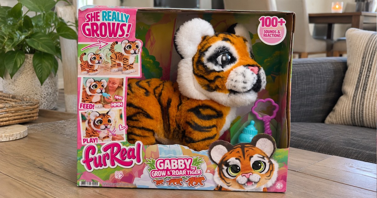 Fur real, Gabby grow in roar tiger inbox on coffee table