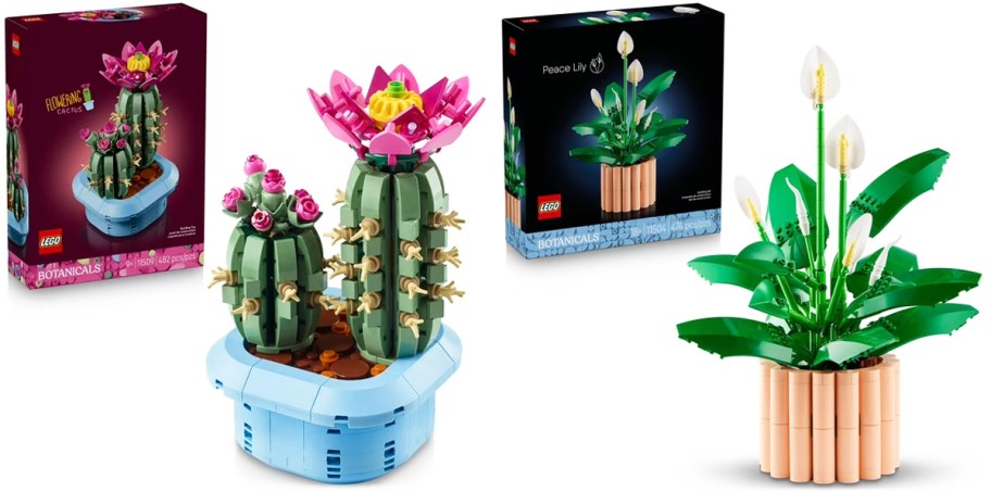LEGO Botanicals cactus and peace lily sets with their boxes