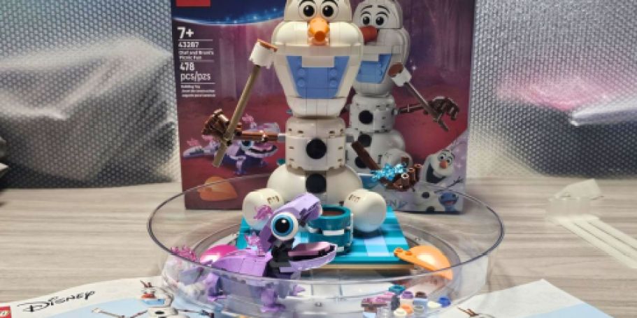 LEGO Disney Frozen Olaf & Bruni’s Picnic Set Only $22 Shipped on Amazon (Reg. $50)