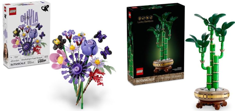 LEGO sets olivia rodrigo and bamboo