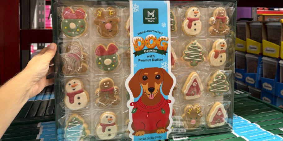 Treat Your Pup to Sam’s Club Christmas Dog Cookies (24-Pack Just $14.98)