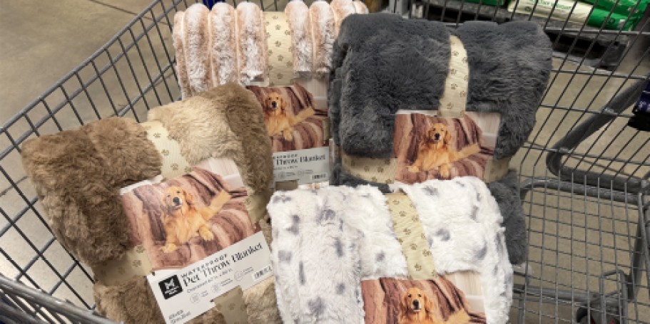 Oversized Waterproof Pet Blankets Just $19.98 at Sam’s Club (Perfect for Couches & Beds!)