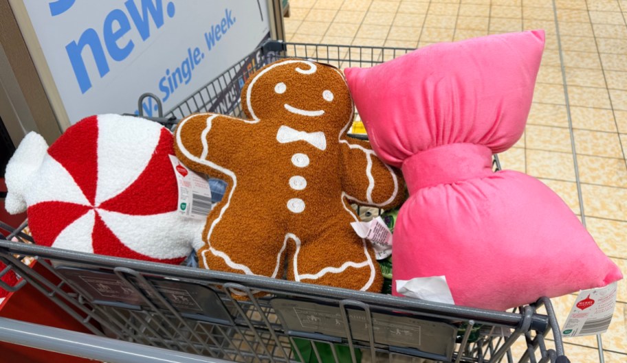 Merry Moments Christmas Pillow