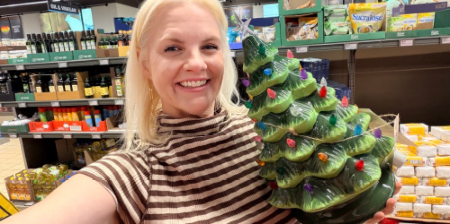 ALDI Is Coming in Hot w/ the Cutest Christmas Decor – Nostalgic Trees, Village House & More!