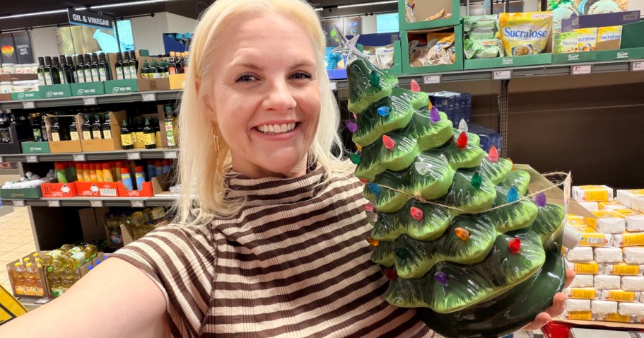 ALDI Is Coming in Hot w/ the Cutest Christmas Decor – Nostalgic Trees, Village House & More!
